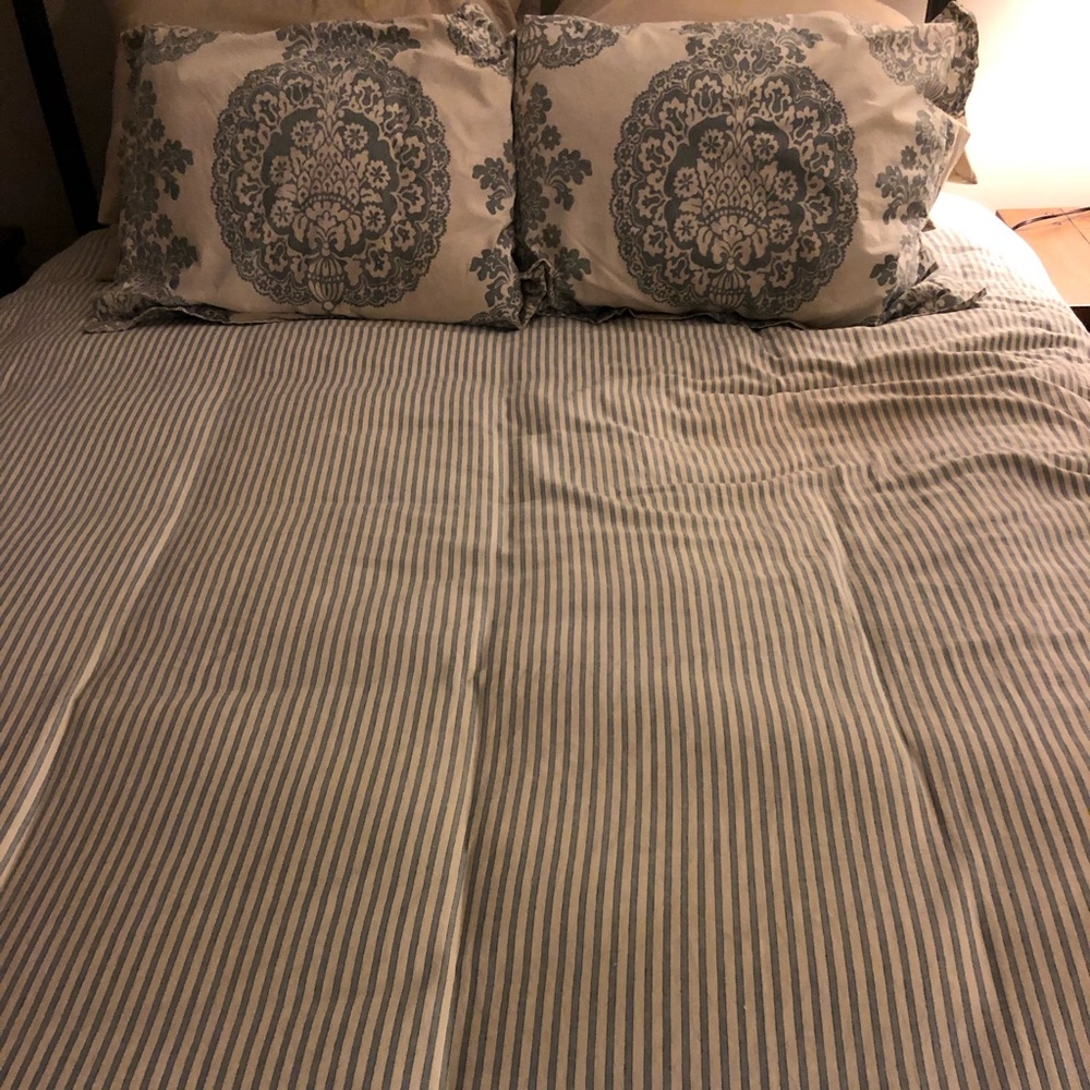 Pottery Barn king duvet and 2 shams